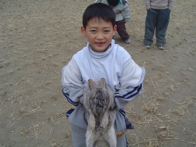 2005 ûе ķ(䳢 )